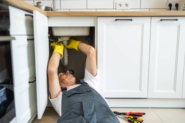 Best Water Softener Installation  in Dock Junction, GA